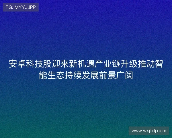 安卓科技股迎来新机遇产业链升级推动智能生态持续发展前景广阔 安卓科技股迎来新机遇产业链升级推动智能生态持续发展前景广阔